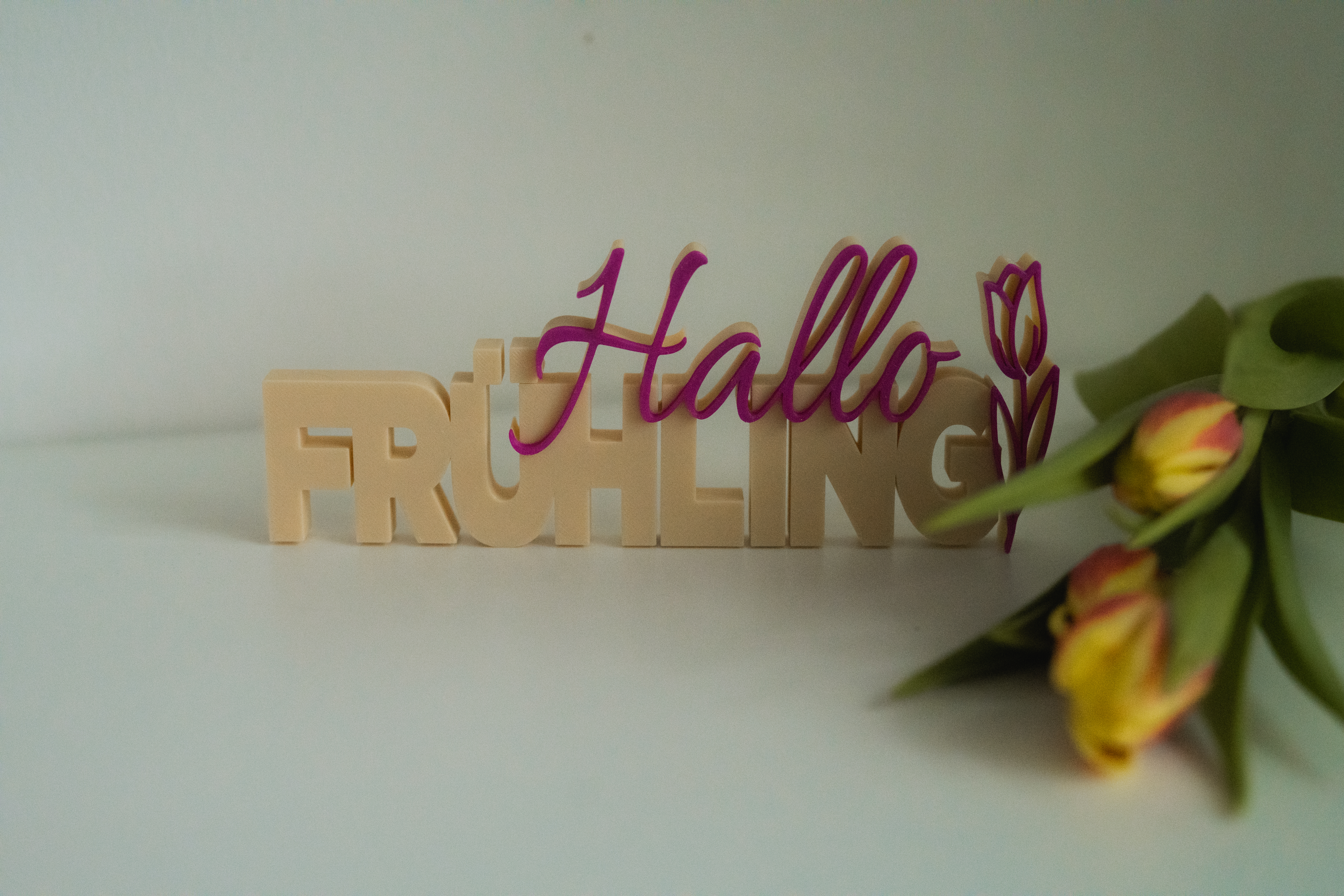 3D Druck - Hallo Frühling – Bild 5