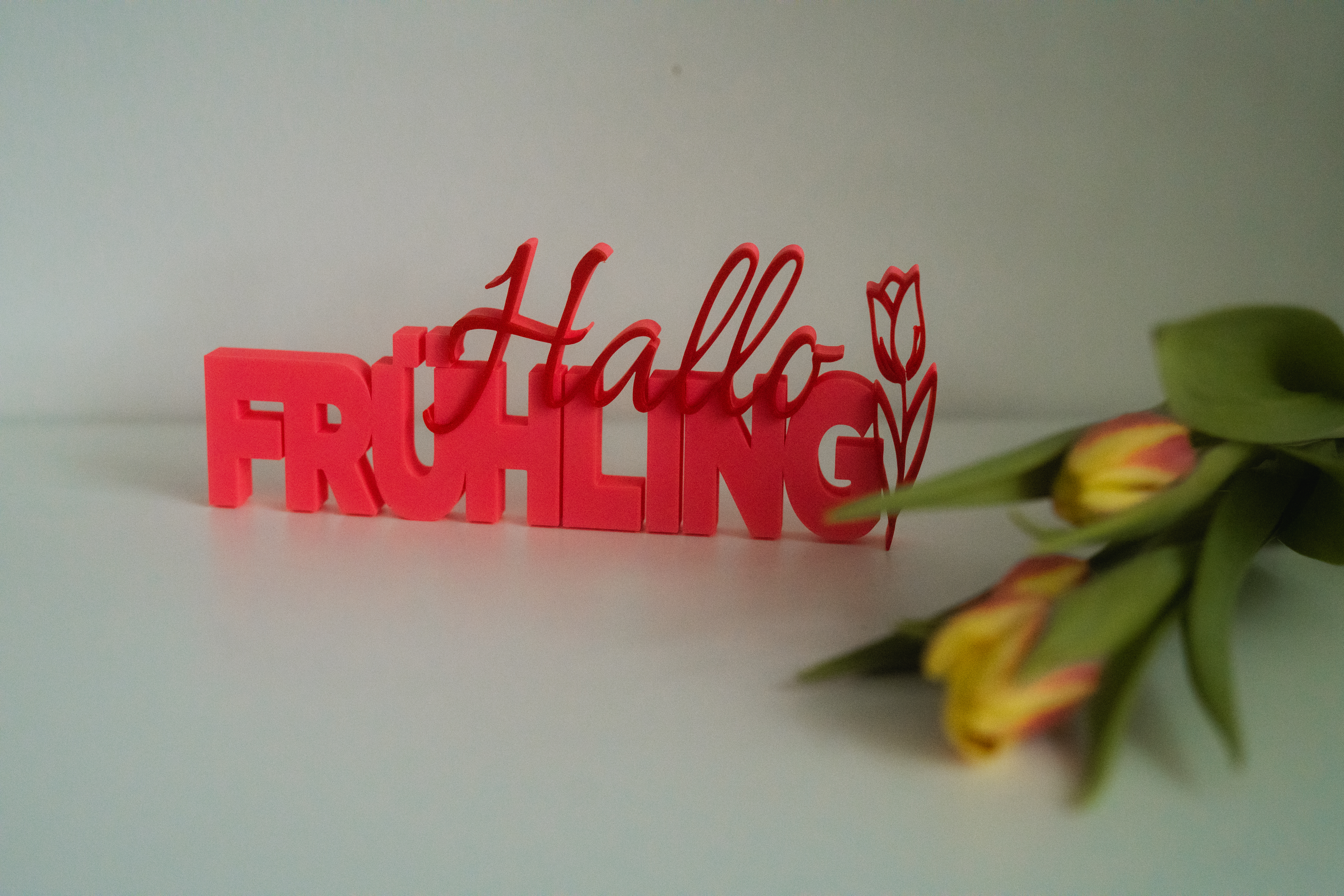 3D Druck - Hallo Frühling – Bild 7