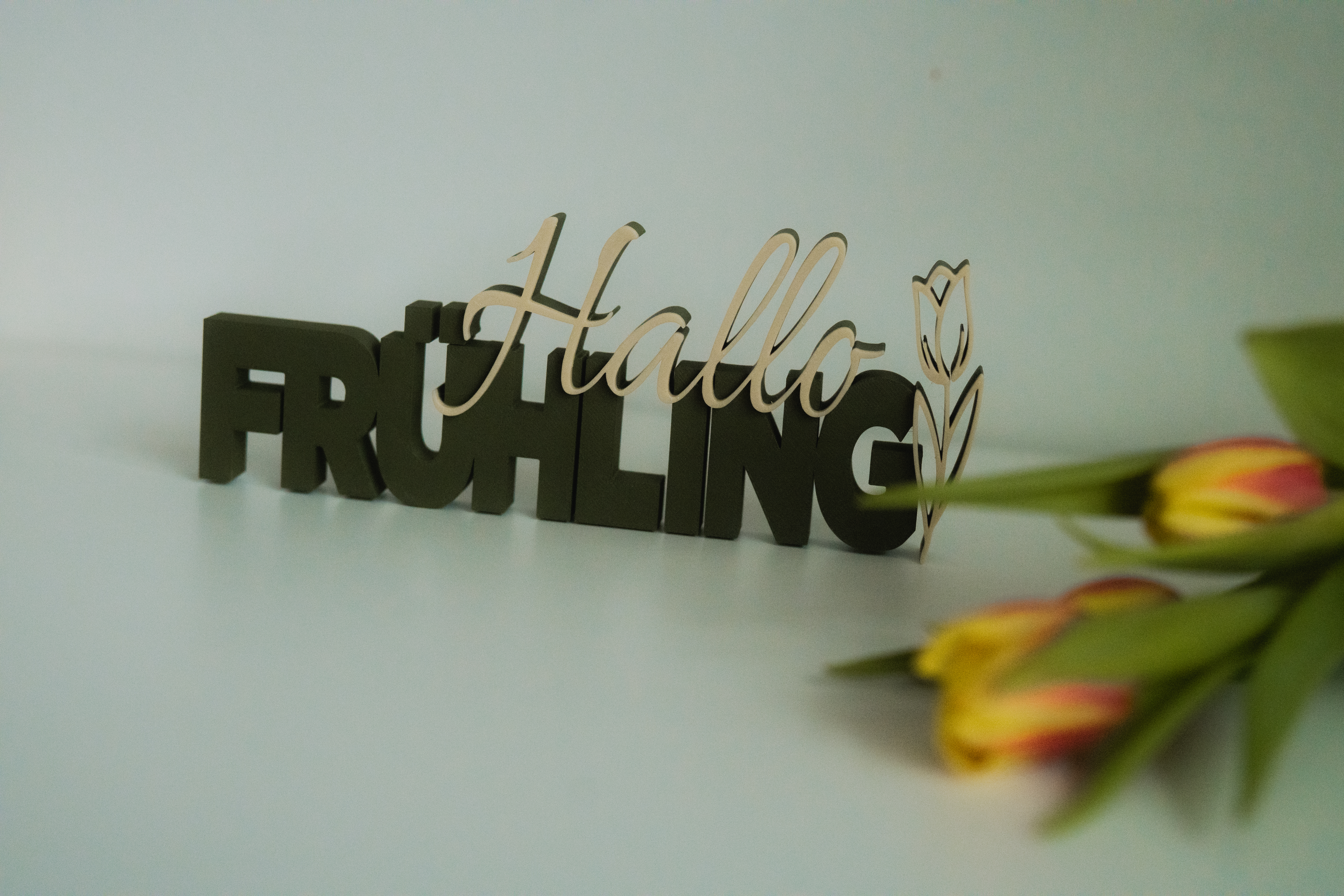3D Druck - Hallo Frühling – Bild 3
