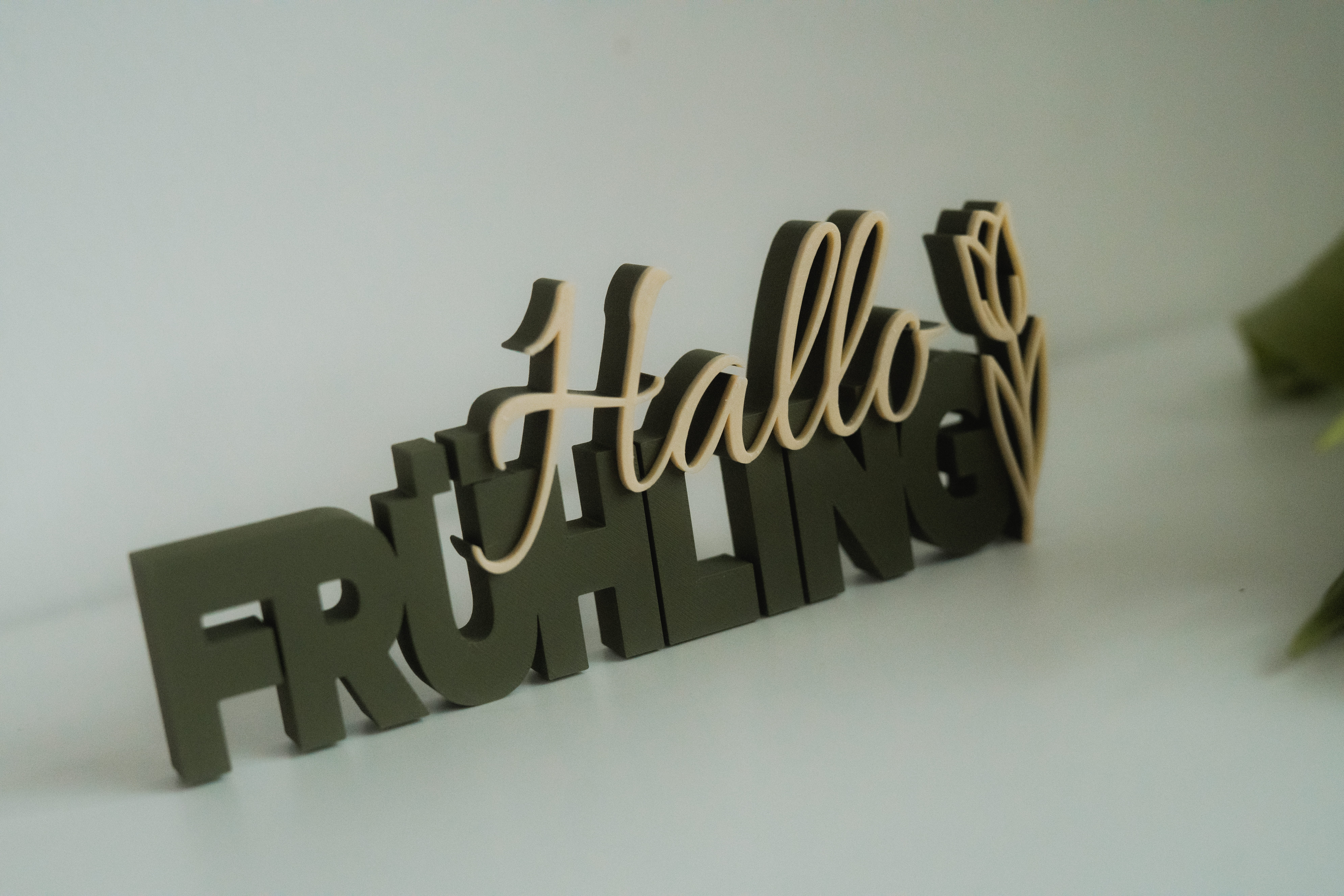 3D Druck - Hallo Frühling – Bild 4