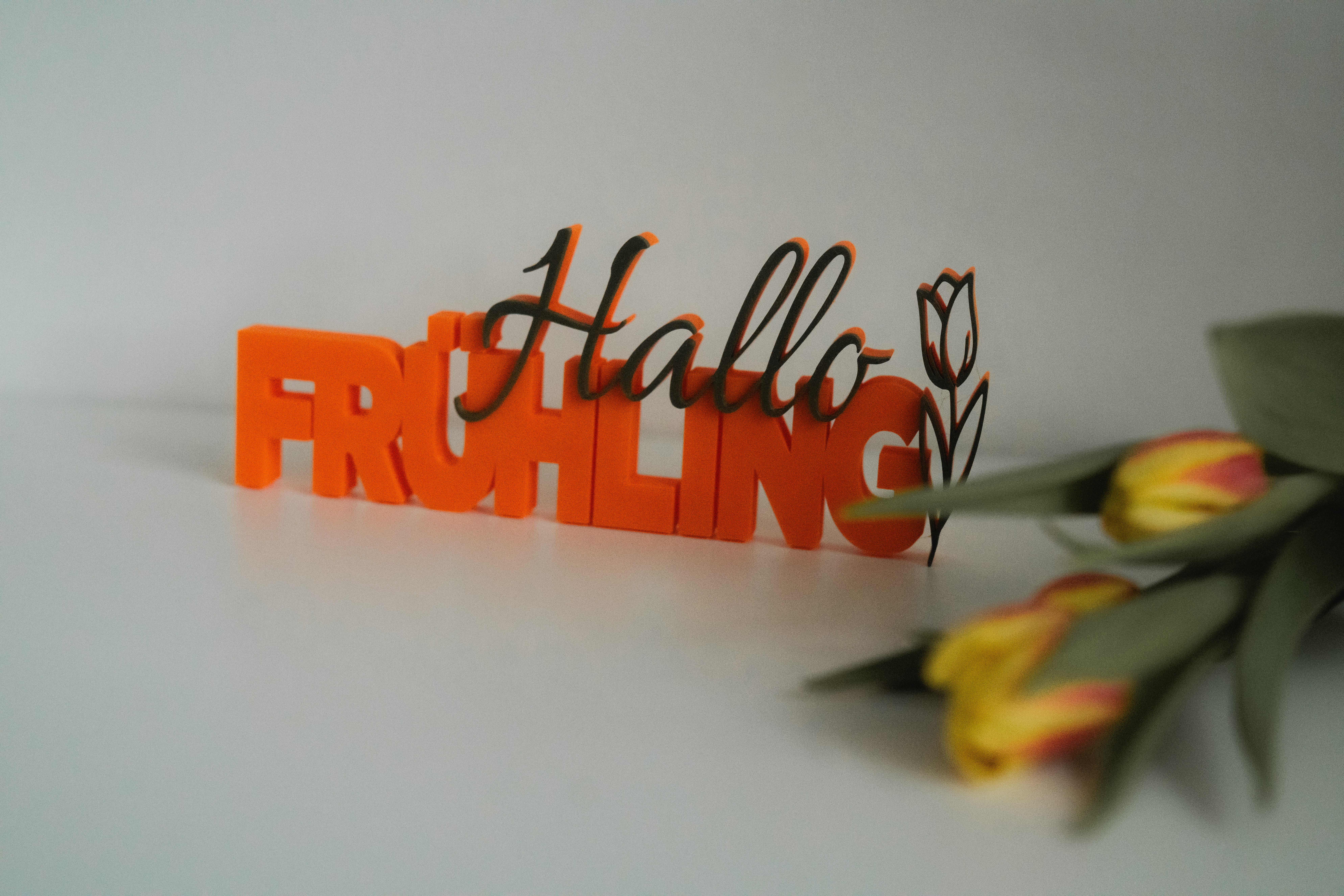3D Druck - Hallo Frühling – Bild 9